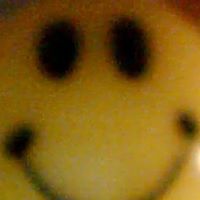 Lisa Bourgault Photo 8