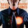 David Calvert Photo 5
