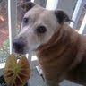 Julie Murray Photo 51