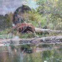 Kathy Valencia Photo 17