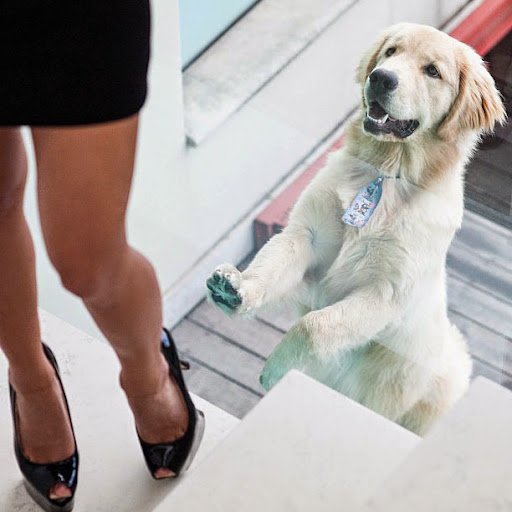 Alison Reed Photo 18