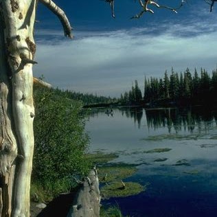 Robert Fitzgerald Photo 60 Robert Fitzgerald Photo 60