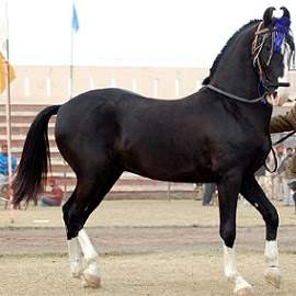 Caitlin Moore Photo 40