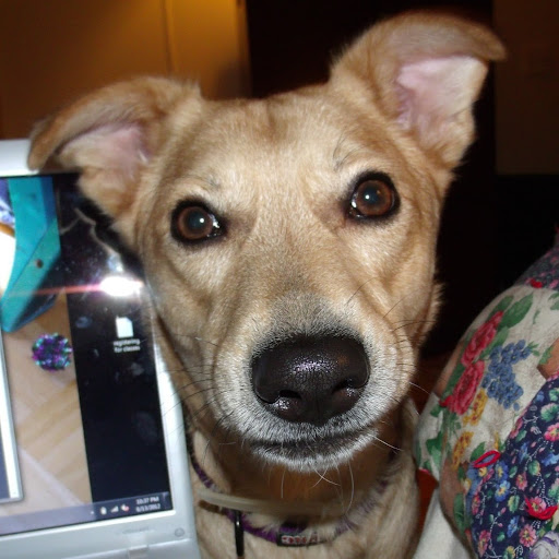 Laura Lockhart Photo 33