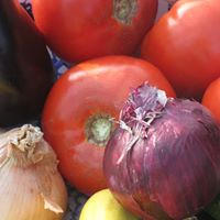 Francine Lynch Photo 3