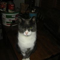 Katherine Collings Photo 5