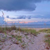 Cindy Johnston Photo 16