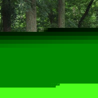 Michelle Harvey Photo 12