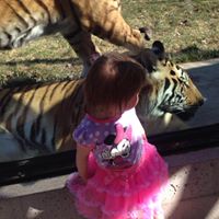 Raymond Rembold Photo 2