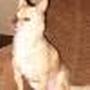William Streeter Photo 12