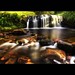 Ray Ferns Photo 12