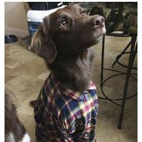 Matt Randall Photo 35