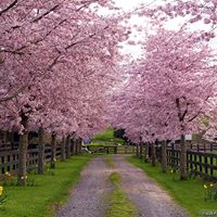 Joann Tuttle Photo 2