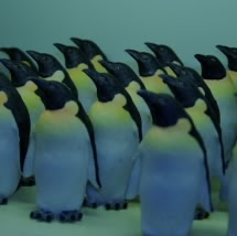 Christopher Weaver Photo 53 Christopher Weaver Photo 53