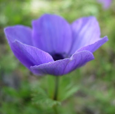 Christine Cote Photo 38