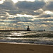 Lynne Laporte Photo 23