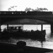 Elizabeth Thames Photo 12