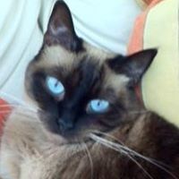 Michele Underwood Photo 16