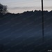 Misty Cornish Photo 12