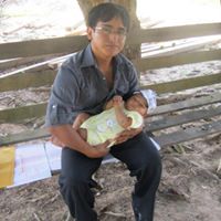 Henry Franz Photo 17
