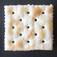 Shane Combs Photo 12