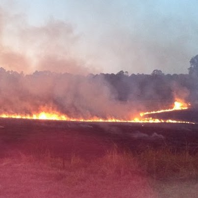 Terry Parnell Photo 29