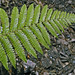 Richard Shields Photo 23