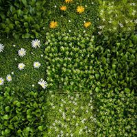 Shelly Eddy Photo 19