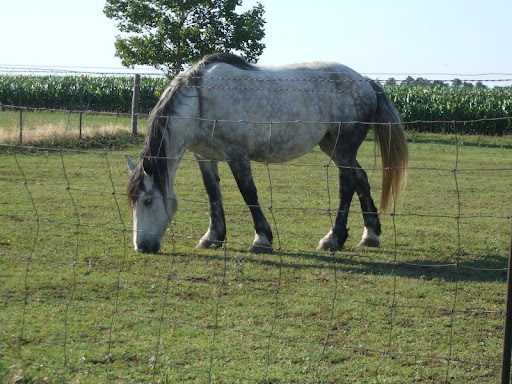 Mike Riddle Photo 35