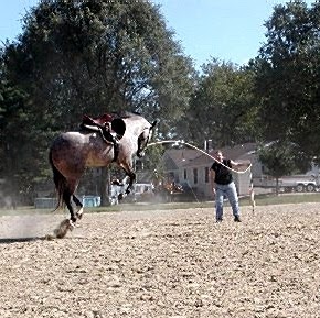 Nancy Mcmillan Photo 8