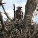 Sharon Laughlin Photo 16