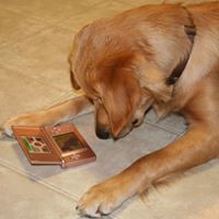 Nanette Moore Photo 3