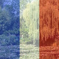 Clark Stewart Photo 24