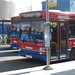Dennis King Photo 19