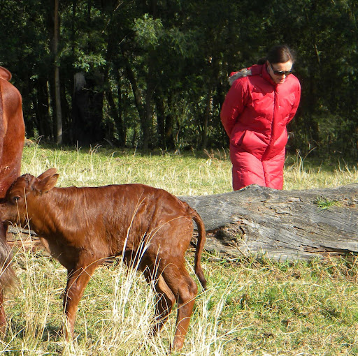 Michelle Behrens Photo 7