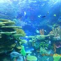 Monica Cheng Photo 25