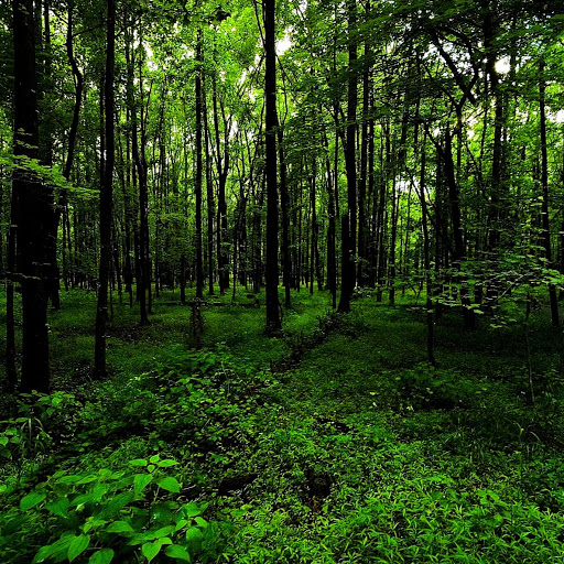 Greg Bailey Photo 33