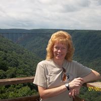 Robin Whiting Photo 28