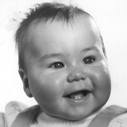 Michael Scheer Photo 42