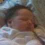 Anthony Lester Photo 4