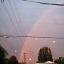 Julie Pegram Photo 6