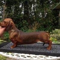 Jane Graham Photo 23