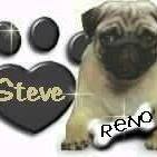 Steven Bruce Photo 29 Steven Bruce Photo 29