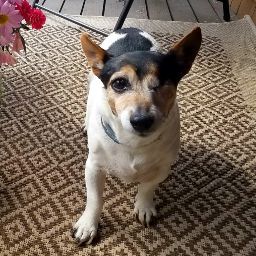 Julie Pinard Photo 2