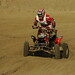 Paul Holmes Photo 41