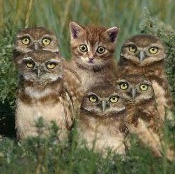 Renee Vincent Photo 11