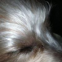 Janis Webb Photo 4