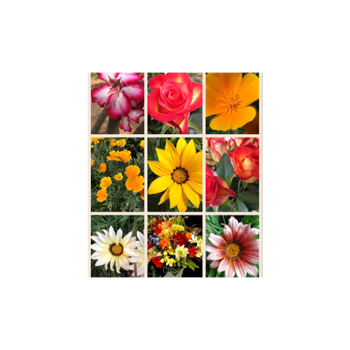 Debbie Mcgregor Photo 13