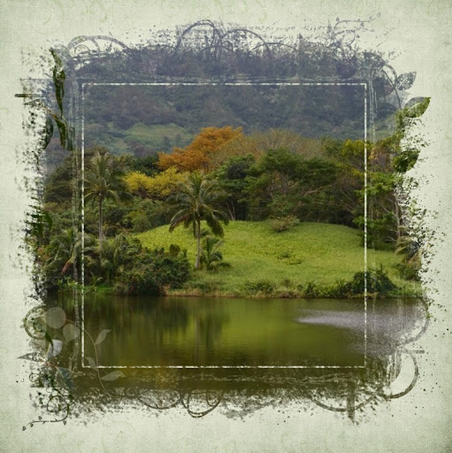 Christine Hawkins Photo 19