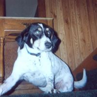 Kathleen Nicholson Photo 18